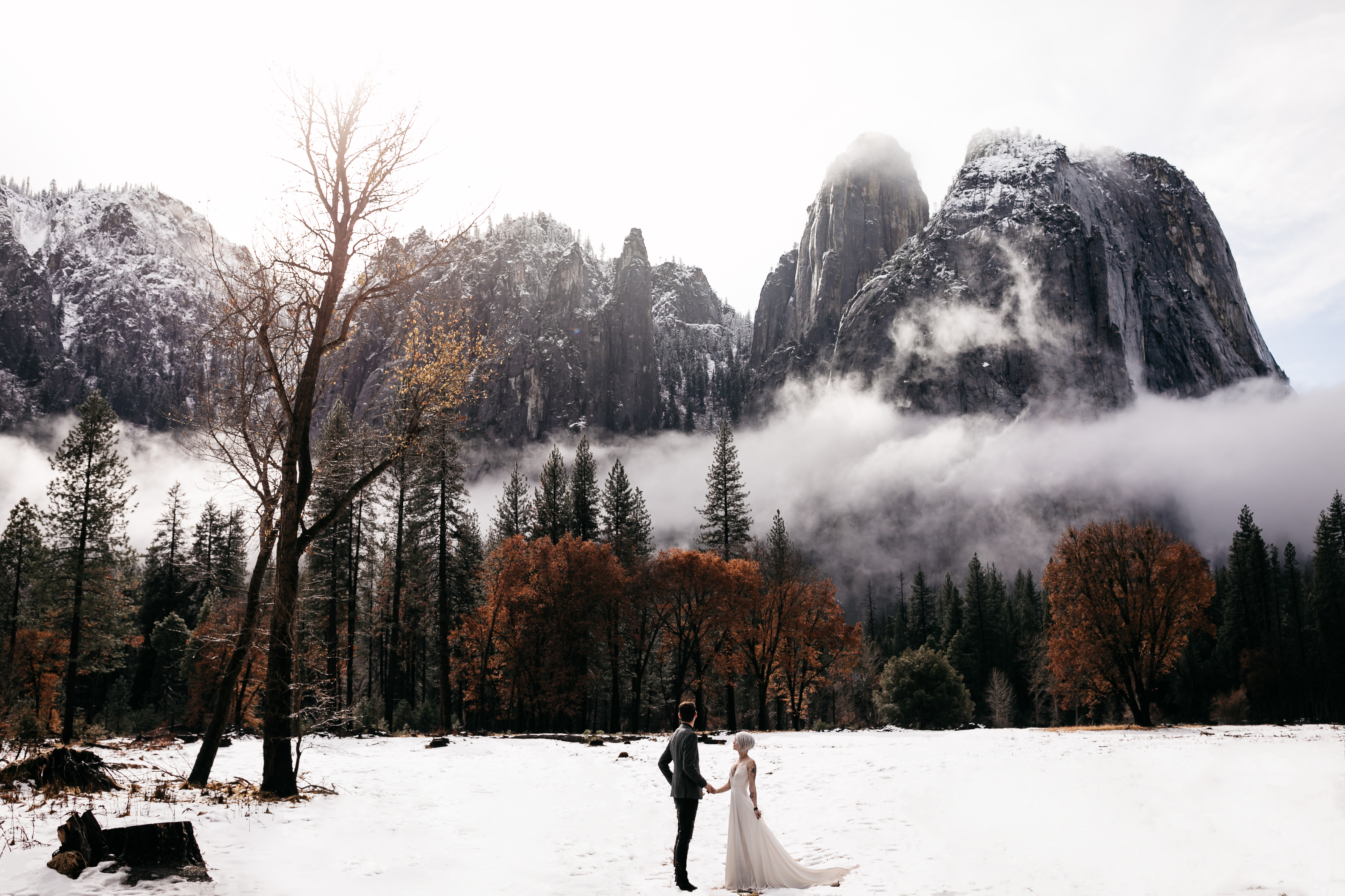 Yosemite Elopement Wedding Shoot